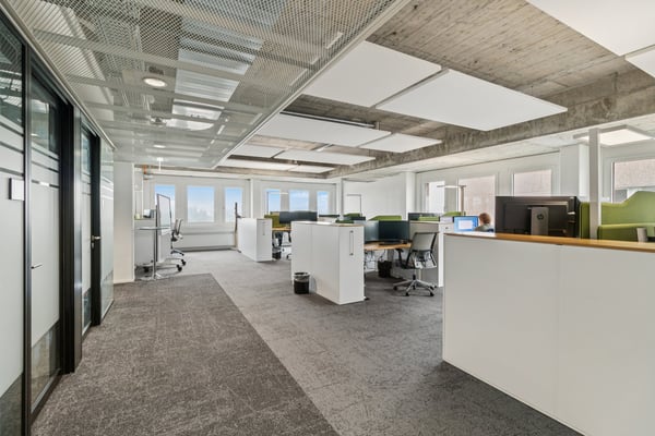 Einziehen statt ausbauen  760 m² Bürofläche in Schlieren - Bürofläche mit modernem Innenausbau 1