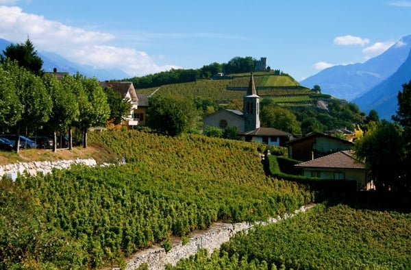 Chambre à louer - Zimmer zu vermieten 1