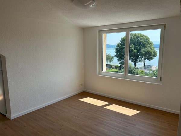 Attique avec terrasse 1 pce vue lac Morat 3