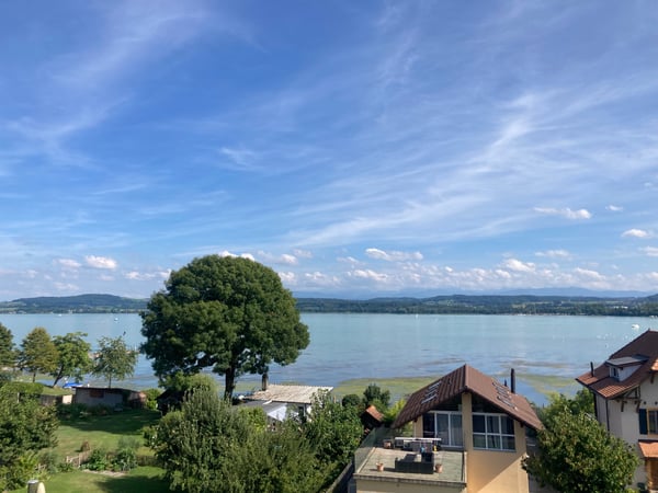 Attique avec terrasse 1 pce vue lac Morat 1