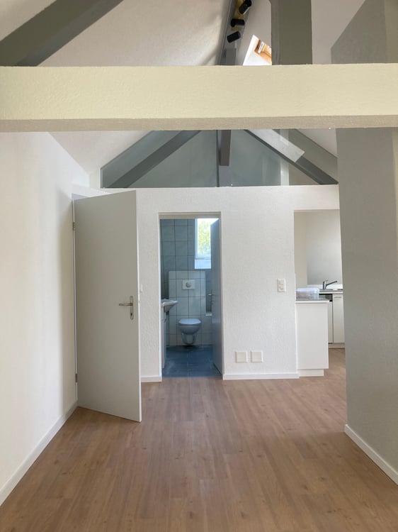 Attique avec terrasse 1 pce vue lac Morat 2