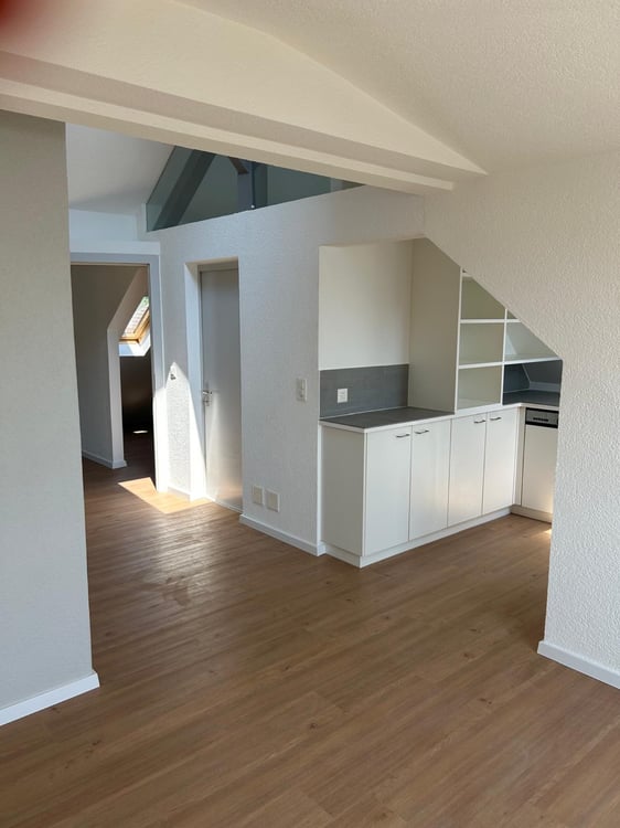 Attique avec terrasse 1 pce vue lac Morat 4