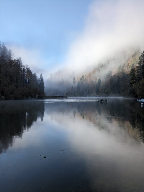 Cherche cabane, chalet à louer à l'année 1