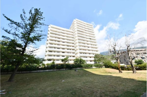 Appartement 1.5 pièces à Louer 1