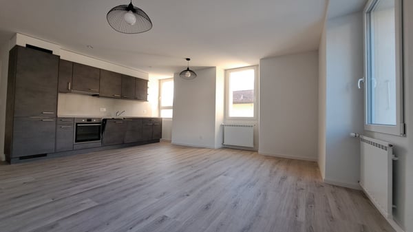 Grône, à louer appartement 11/2 p. neuf, cc, terrasse, parc 4