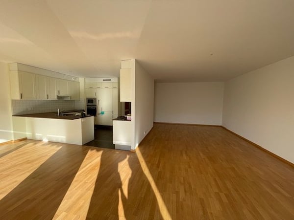 Carouge A VENDRE magnifique appartement-grand 1p 1