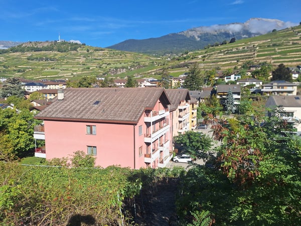 Magnifique appartement 1