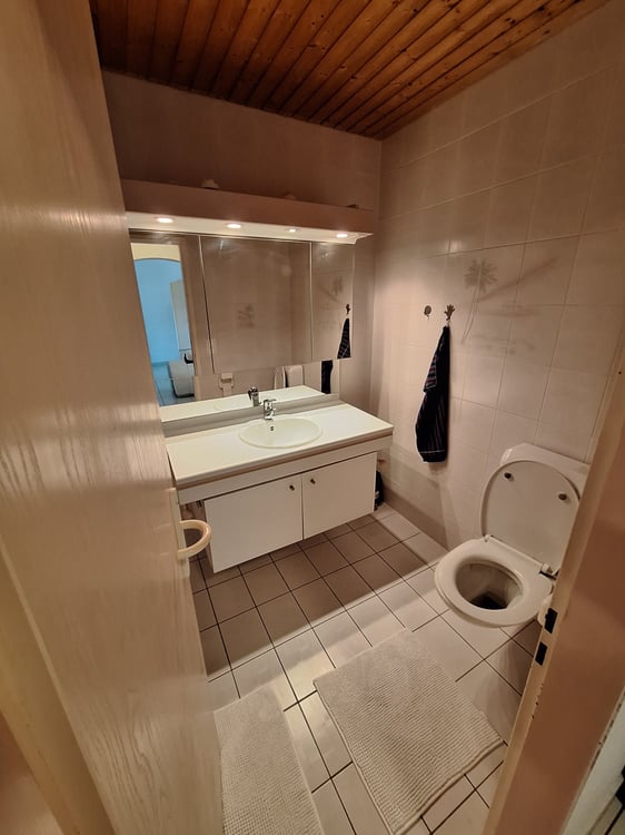 Magnifique appartement 4