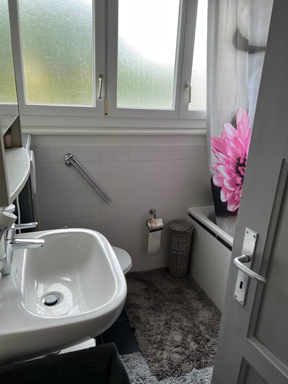 Magnifique appartement 1.5 RDC avec jardin privatif 3