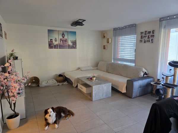 Appartement 1.5 pièces à SIERRE 1