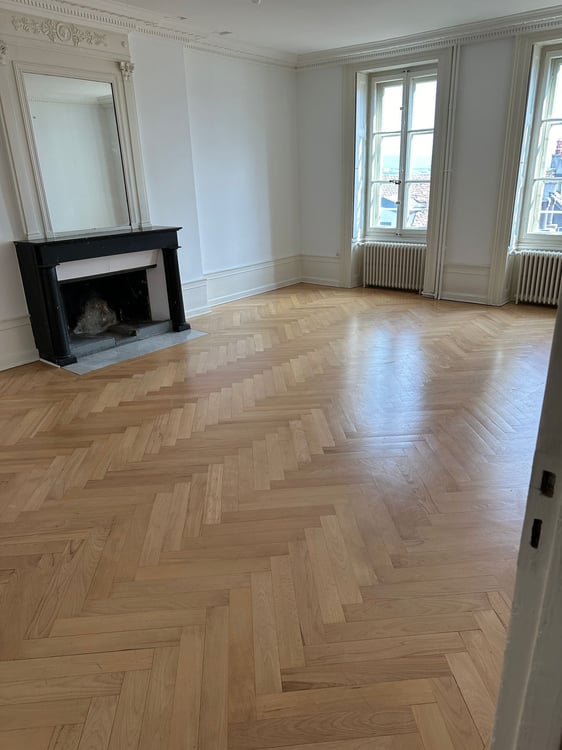 AMAZING APT GENEVA OLD TOWN | 1.5 pieces, 16th Dec. 2025 4