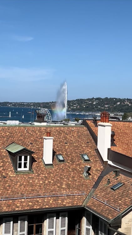 AMAZING APT GENEVA OLD TOWN | 1.5 pieces, 16th Dec. 2025 3