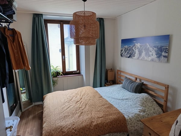 Charmant appartement rénové et central 1