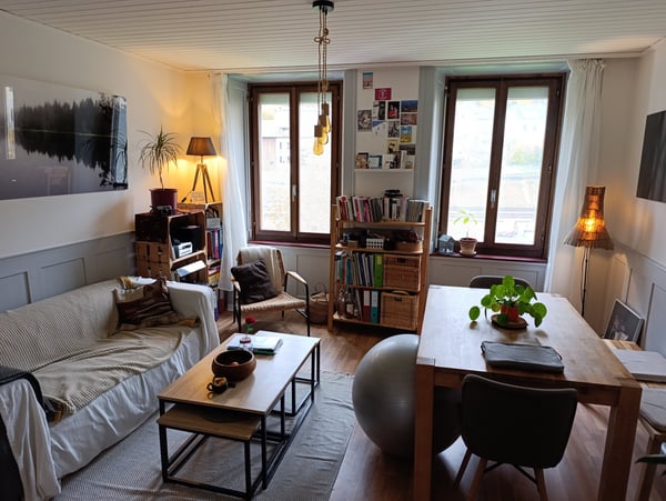 Charmant appartement rénové et central 5