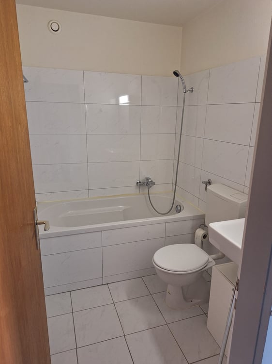 Semsales - Appartement 1.5 Pièce 3