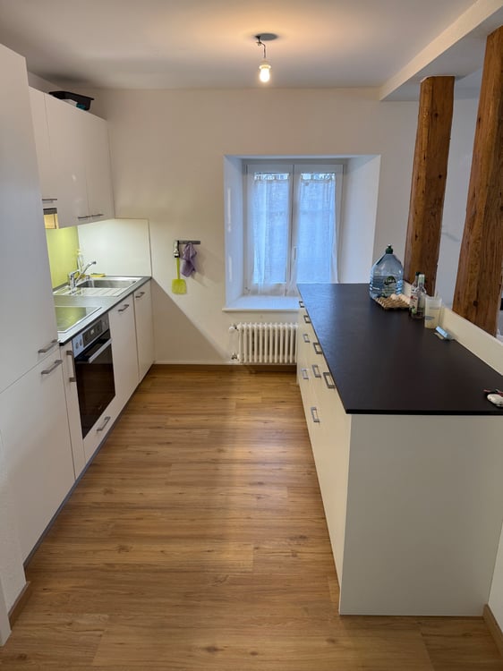 À louer : chaleureux appartement de 1.5 pcs 4