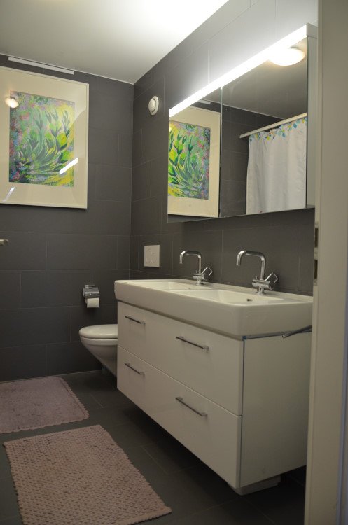 Lausanne - Appartement 1.5 pièces avec vue sur le lac 2