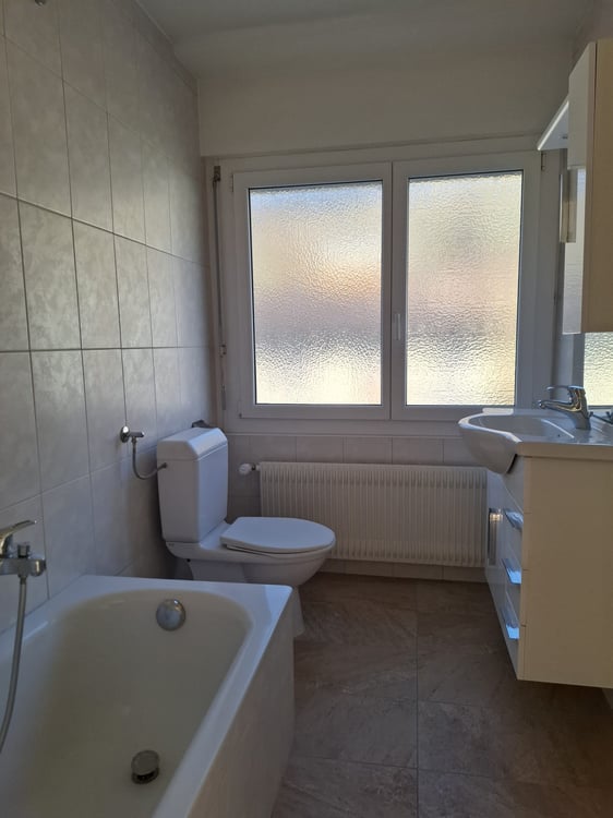 Appartement 1.5p, dernier étage, Sion 5