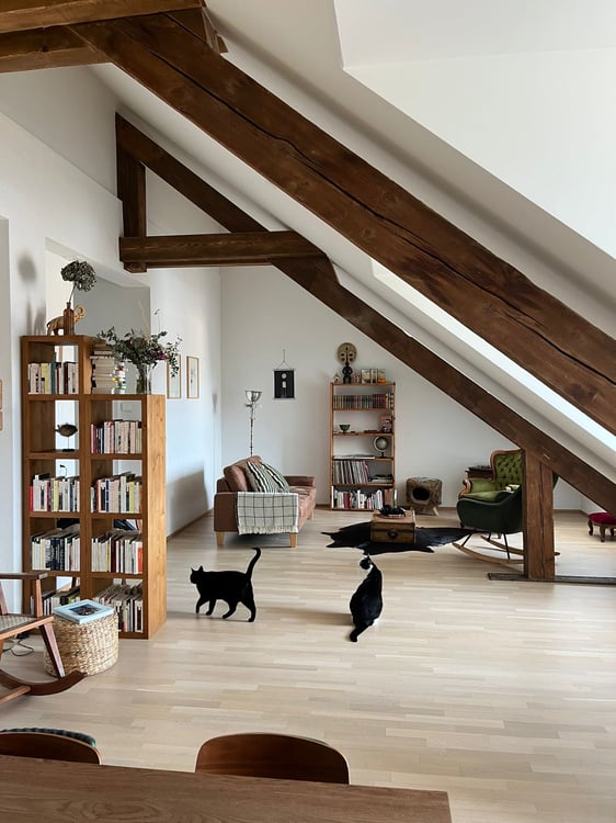 Sion - Charmant duplex 1.5 pièces rénové avec vue 2