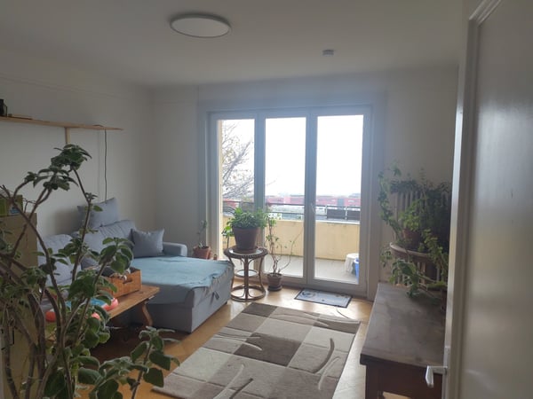 Appartement en colocation (1 février 2026) 5