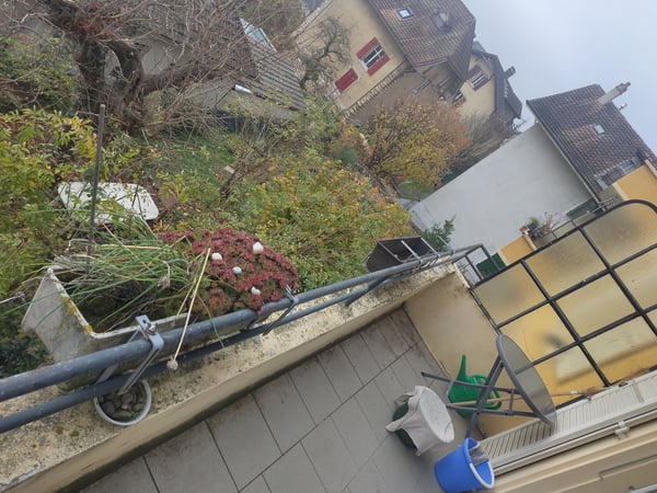 Appartement en colocation (1 février 2026) 4