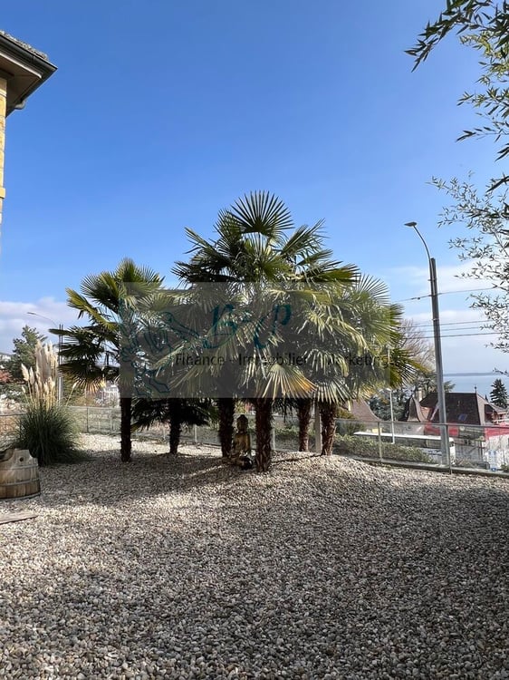 Magnifique villa vue lac 5