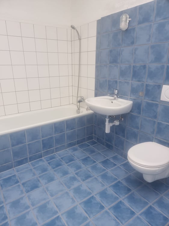 beau duplex zone piétonne neuchatel a louer 7