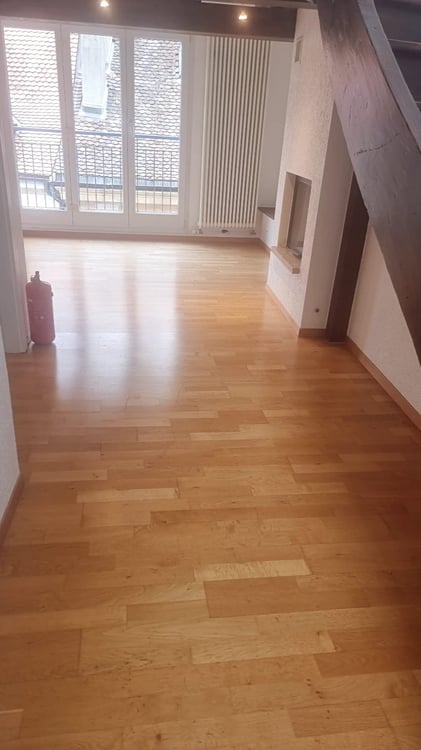 beau duplex zone piétonne neuchatel a louer 5