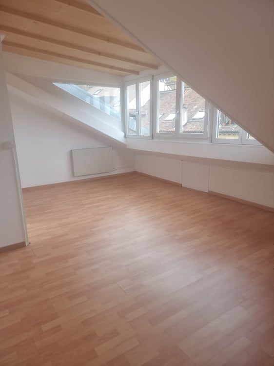 beau duplex zone piétonne neuchatel a louer 8