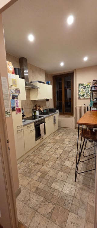 Plainpalais Appartement -Reprise de bail 4