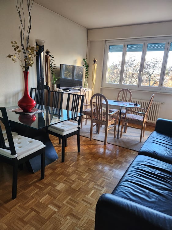Appartement à louer au 15 décembre 4045 2