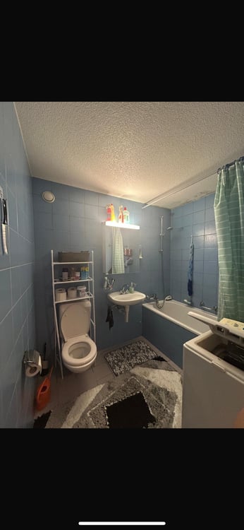 Très jolie appartement de 1.5 pièces avec vu sur le lac 5