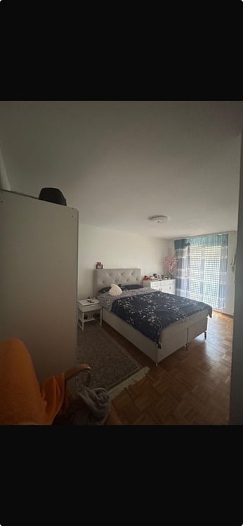 Très jolie appartement de 1.5 pièces avec vu sur le lac 3