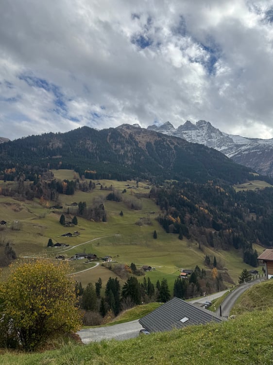 Sous location appartement 1