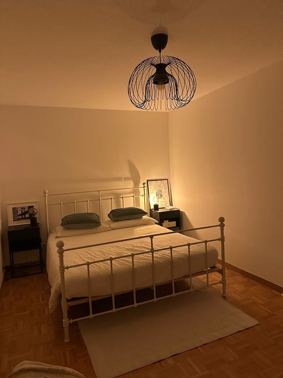 1.5 pieces - NYON Bail à remettre au 31 janvier 2026 5