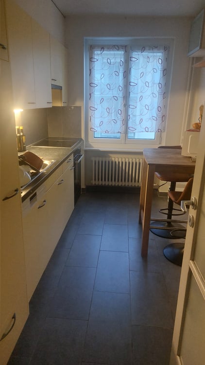 Appartement 1 pièces à louer 4