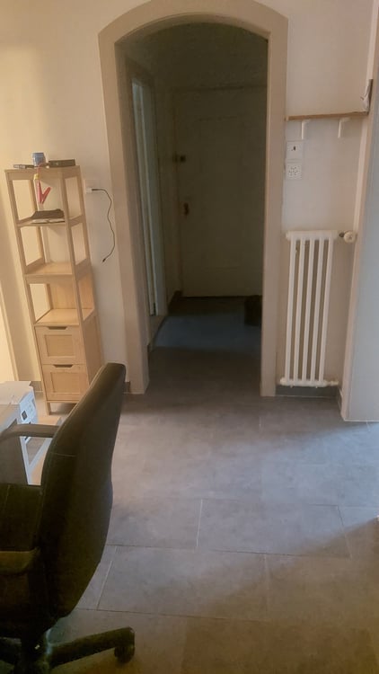 Appartement 1 pièces à louer 5