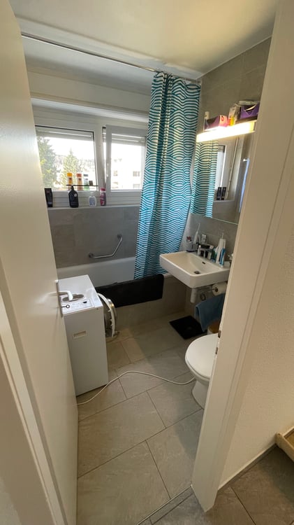 Appartement à louer 1.5 pièces. Récemment rénové 3