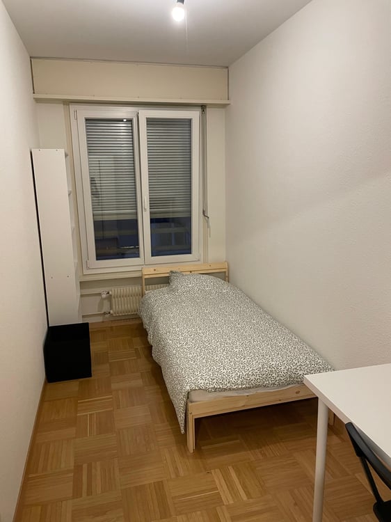 Chambre à Louer en colocation Eaux-Vives à Genève 4