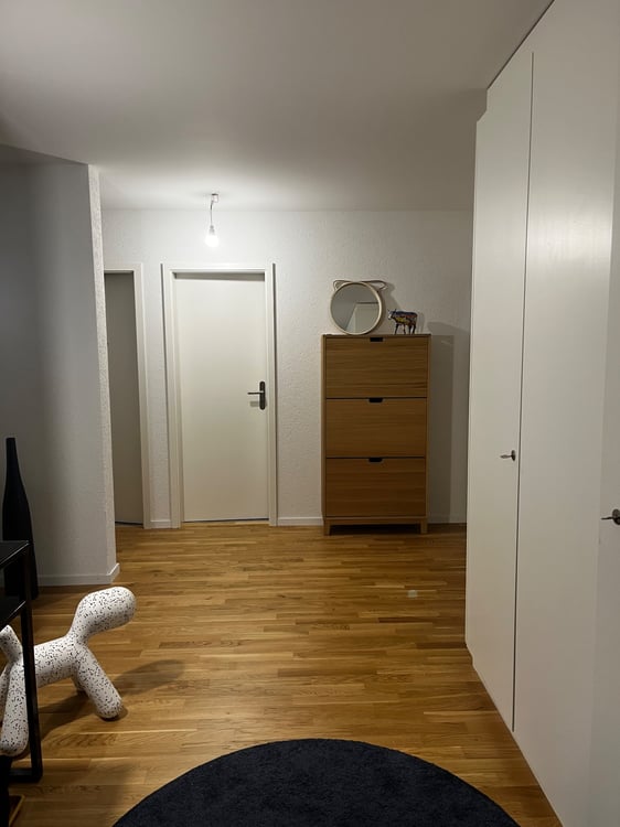 Spacieux appartement 1.5 - Rez-de-chaussée 4