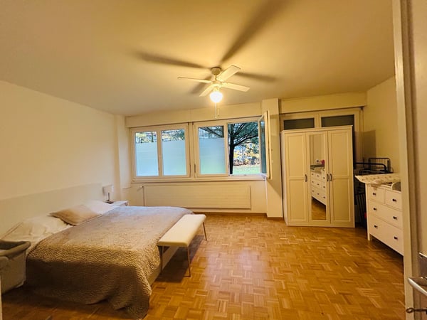 Appartement 1.5 pièces Florissant - Malagnou 3