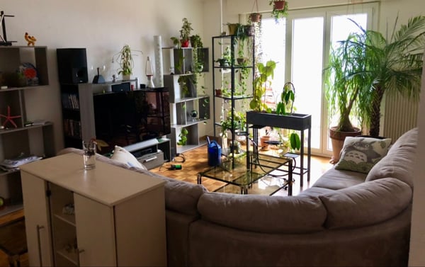 Remise de bail pour le 1er février 2026 2