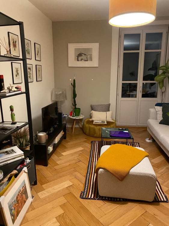 Reprise de bail au 15 décembre 2025 - 1.5 pièces - Carouge 1