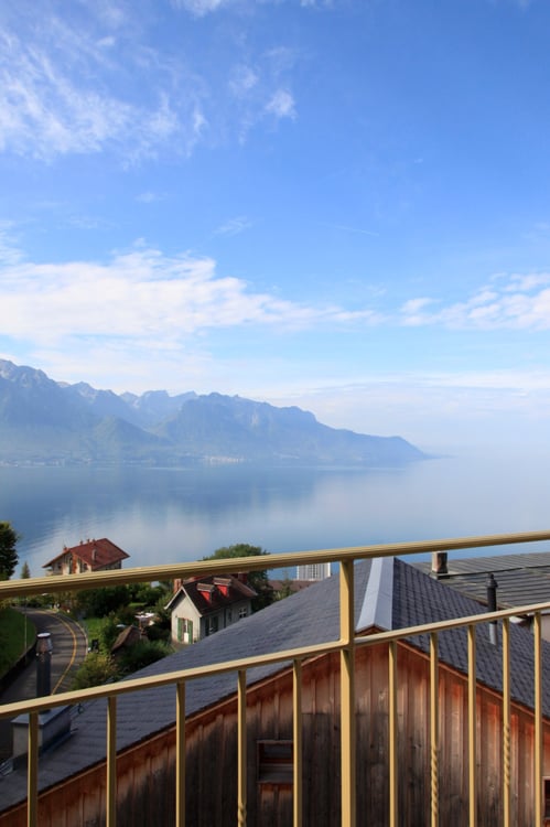 Hauts de Montreux - 1 pièces hors normes (vue et calme) 1