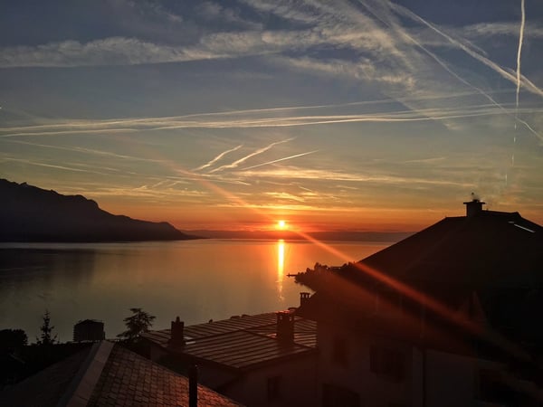 Hauts de Montreux - 1 pièces hors normes (vue et calme) 5