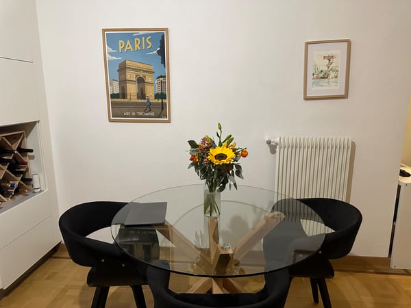 Trés beau 1.5 pieces au coeur de Geneve 3