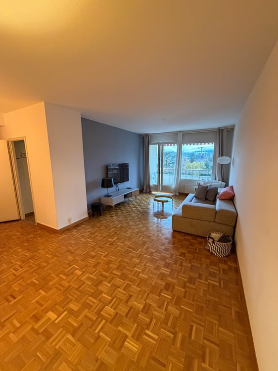 Sous-location d?un grand 1 pièces avec balcon 1