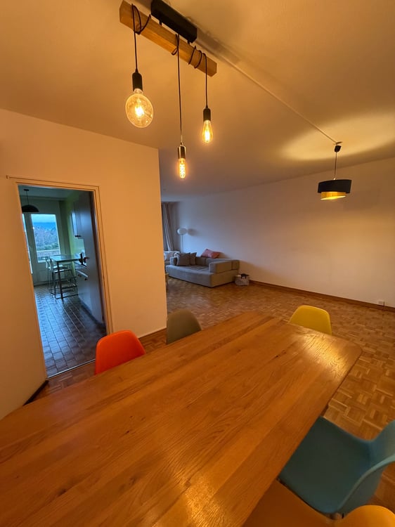 Sous-location d?un grand 1 pièces avec balcon 2