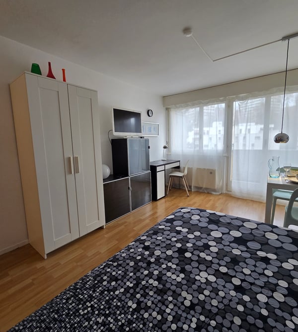 Logement meublé à Lausanne centre 2