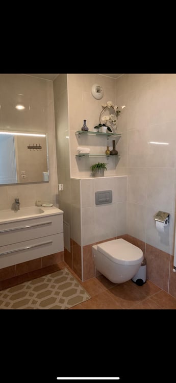 Appartement attique et deux box garages 2